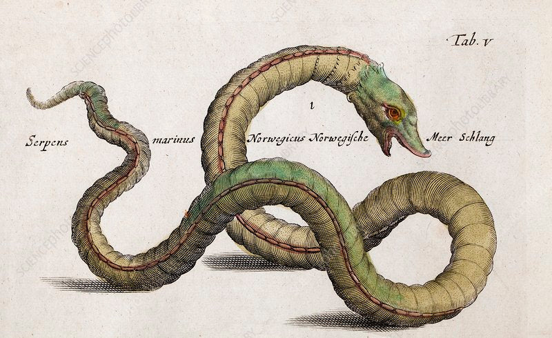 The River Liffey Sea Monster from Irish Folklore
