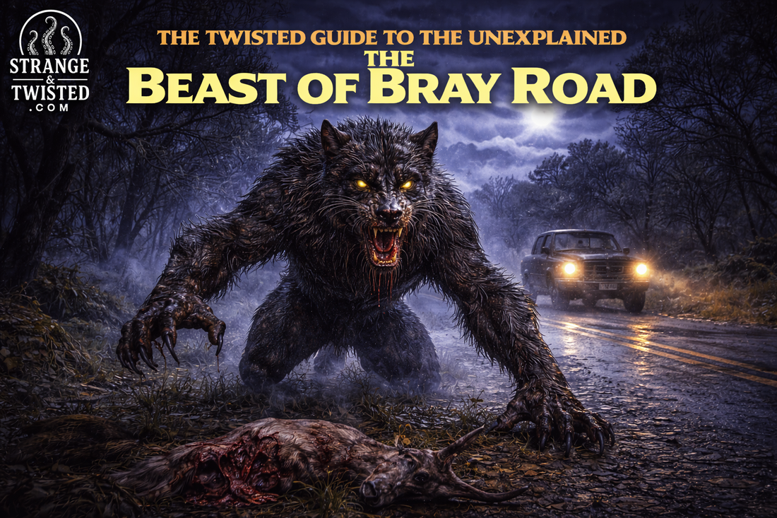 The Beast of Bray Road werewolf like cryptid standing on a dark rural road in Wisconsin, glowing eyes and foggy forest featured in The Twisted Guide to the Unexplained