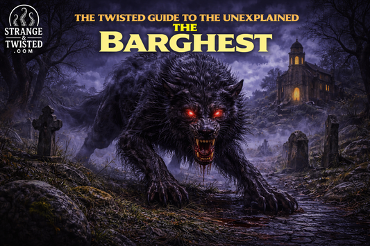 The Barghest ghostly black dog with glowing red eyes prowling a graveyard near a church at night, Yorkshire folklore creature in The Twisted Guide to the Unexplained