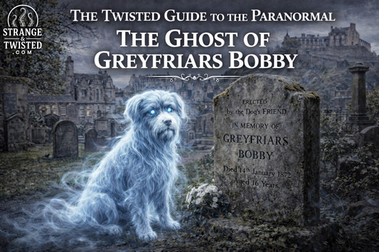 Ghost of Greyfriars Bobby sitting beside grave in Edinburgh cemetery during daytime, The Twisted Guide To The Paranormal blog hero image