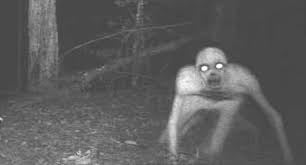 Skinwalker Ranch in Utah, mysterious landscape linked to UFO sightings, paranormal activity, and Native American legends