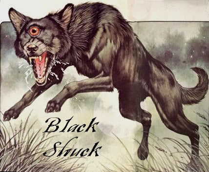 Black Shuck Britains Cryptid Canine Mystery