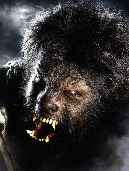 An image of a life like werewolf Cannock chase werewolf story