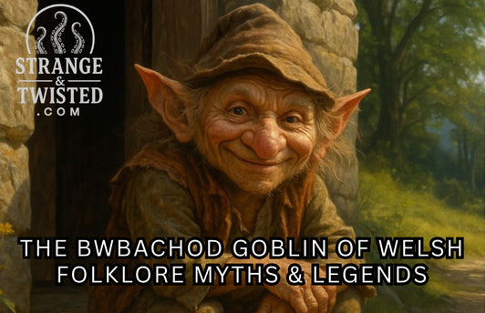 An image of The Bwbachod the Goblin of Welsh folklore myths and legends by Strange & Twisted