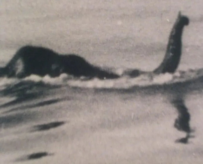 Lough Lee Monster Irish folklore myths and legends