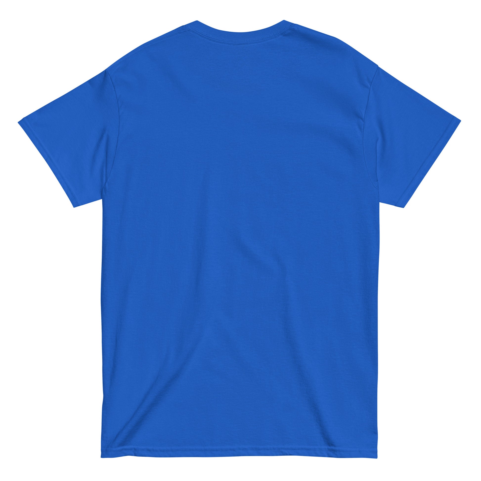 Plain royal blue T-shirt back view – novelty horror parody shirt