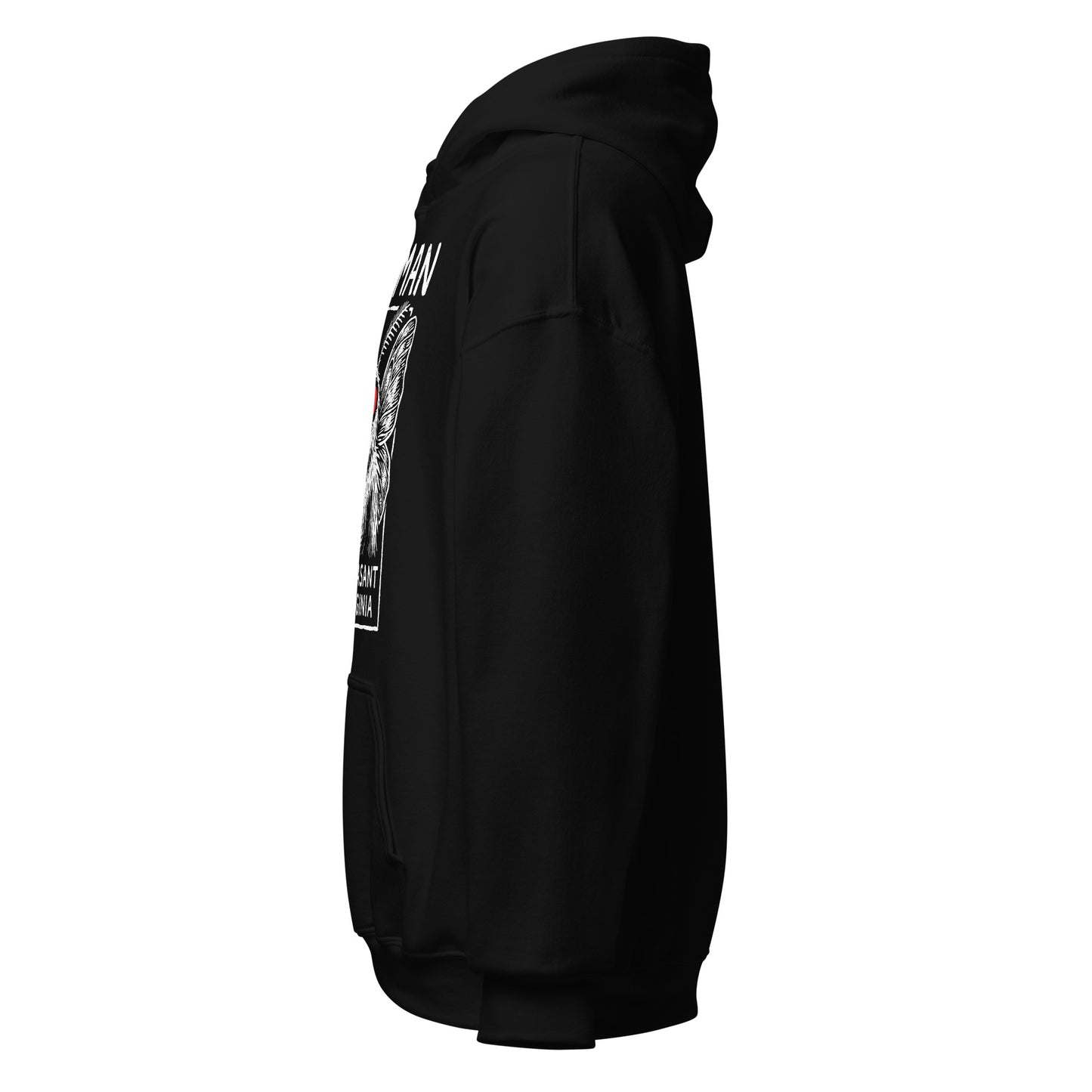 black hoodie side view mothman cryptid apparel minimal design Strange & Twisted