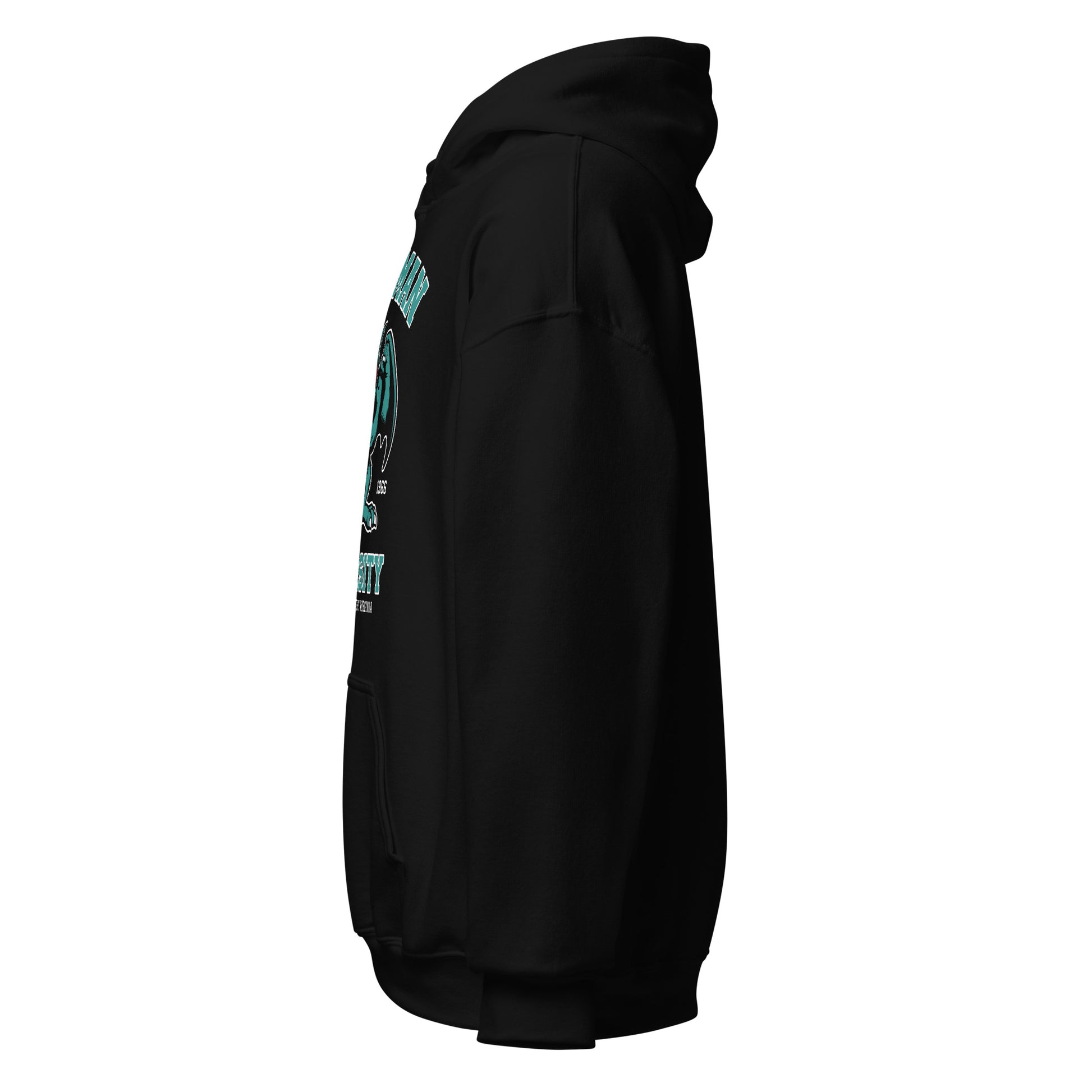 Black Mothman hoodie with white background