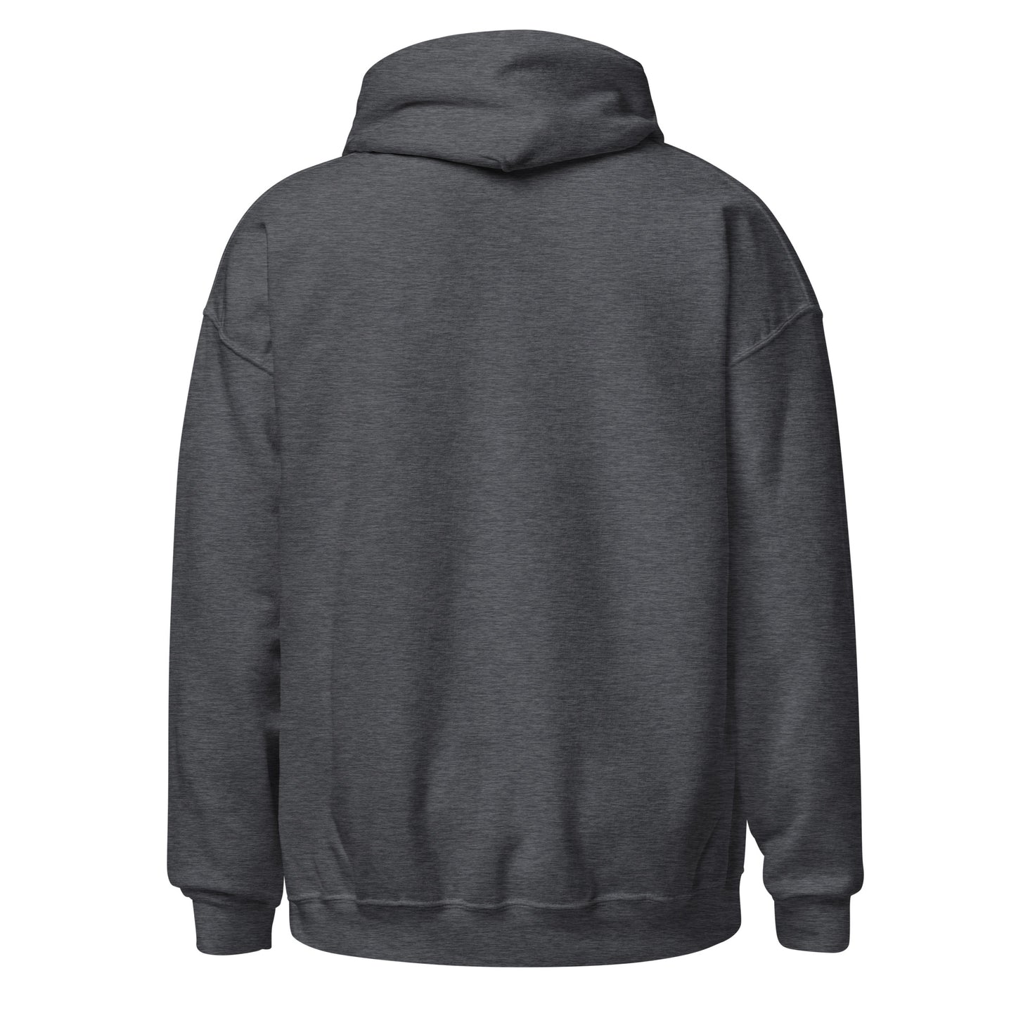 Dark gray hoodie shown from the back on a white background